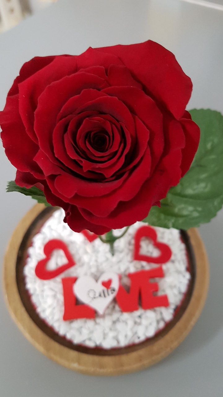 rose
