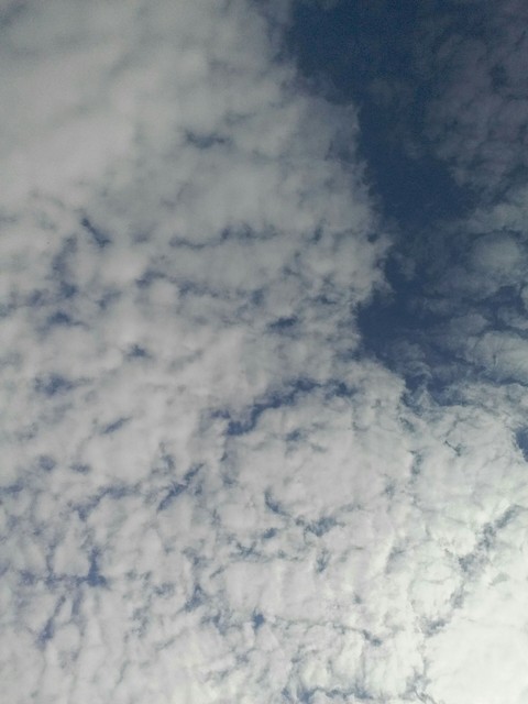 tapety phenomenon, atmosphere