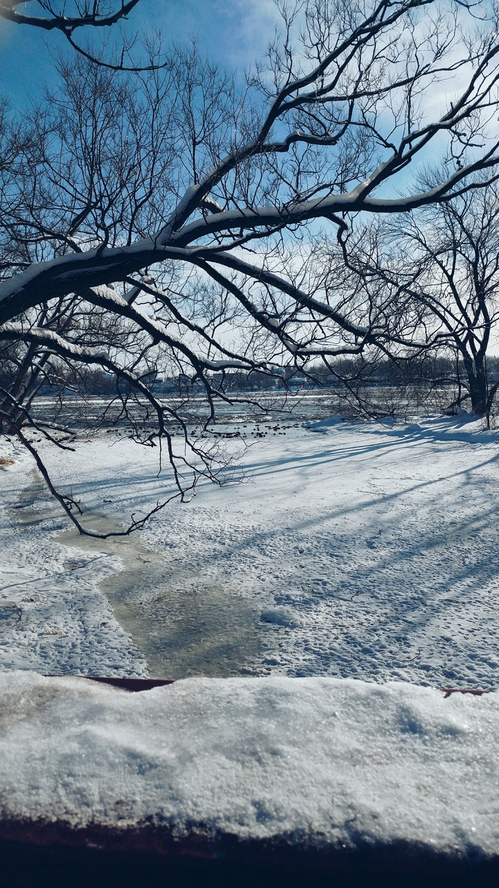 Snowy river