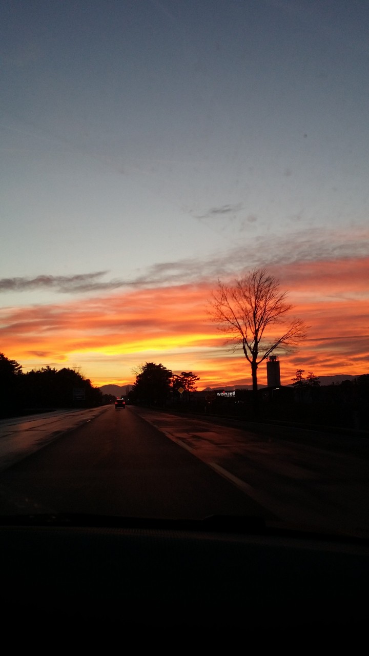 evening