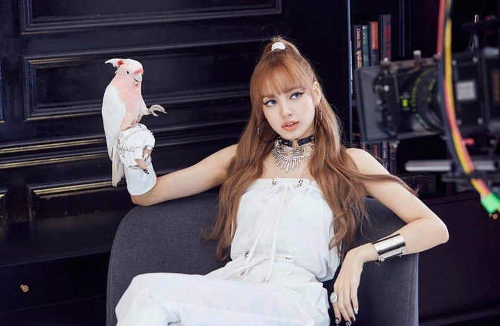 Lisa 