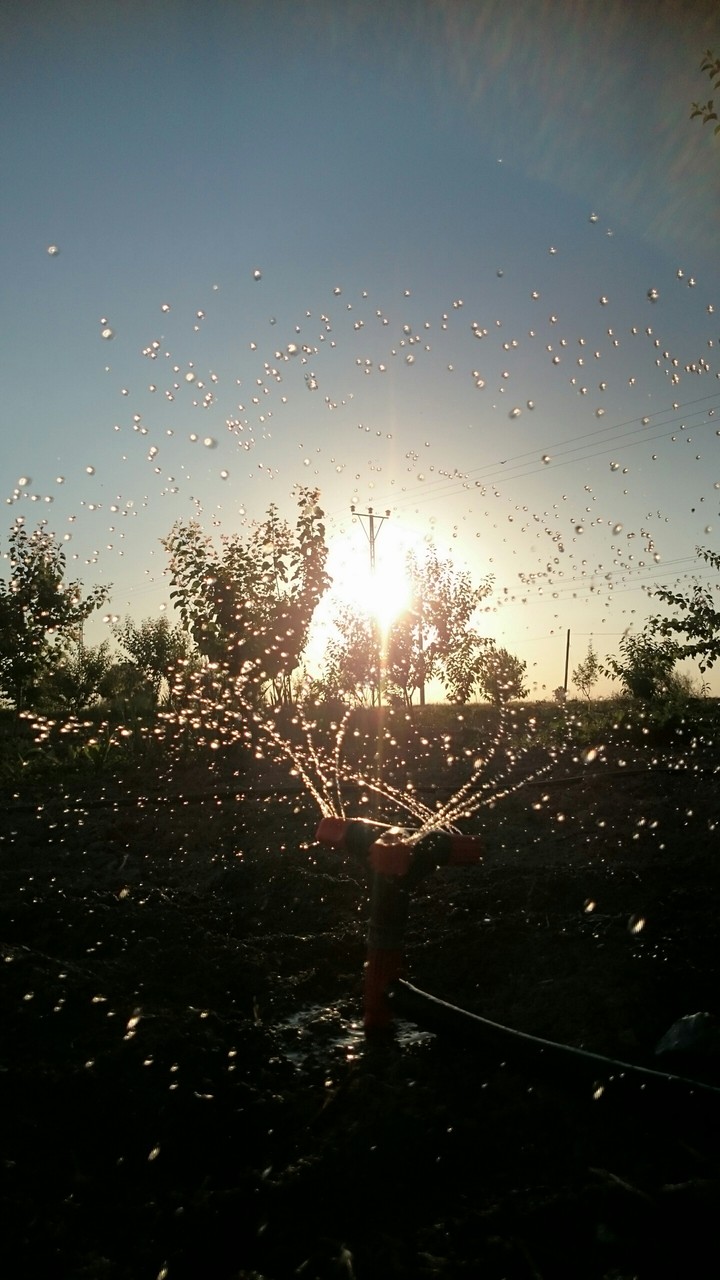 fountain...