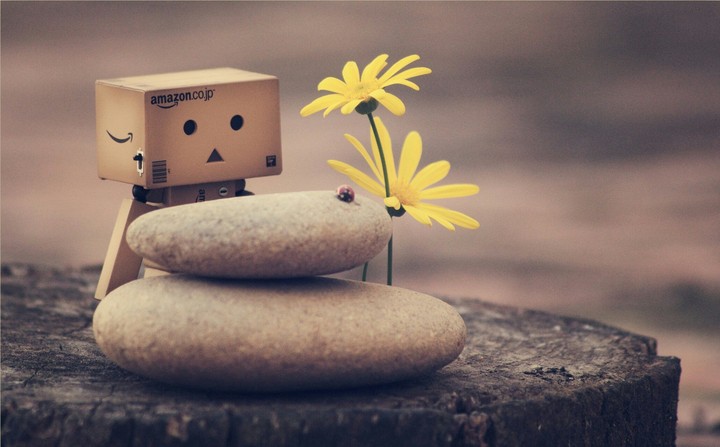 Danbo