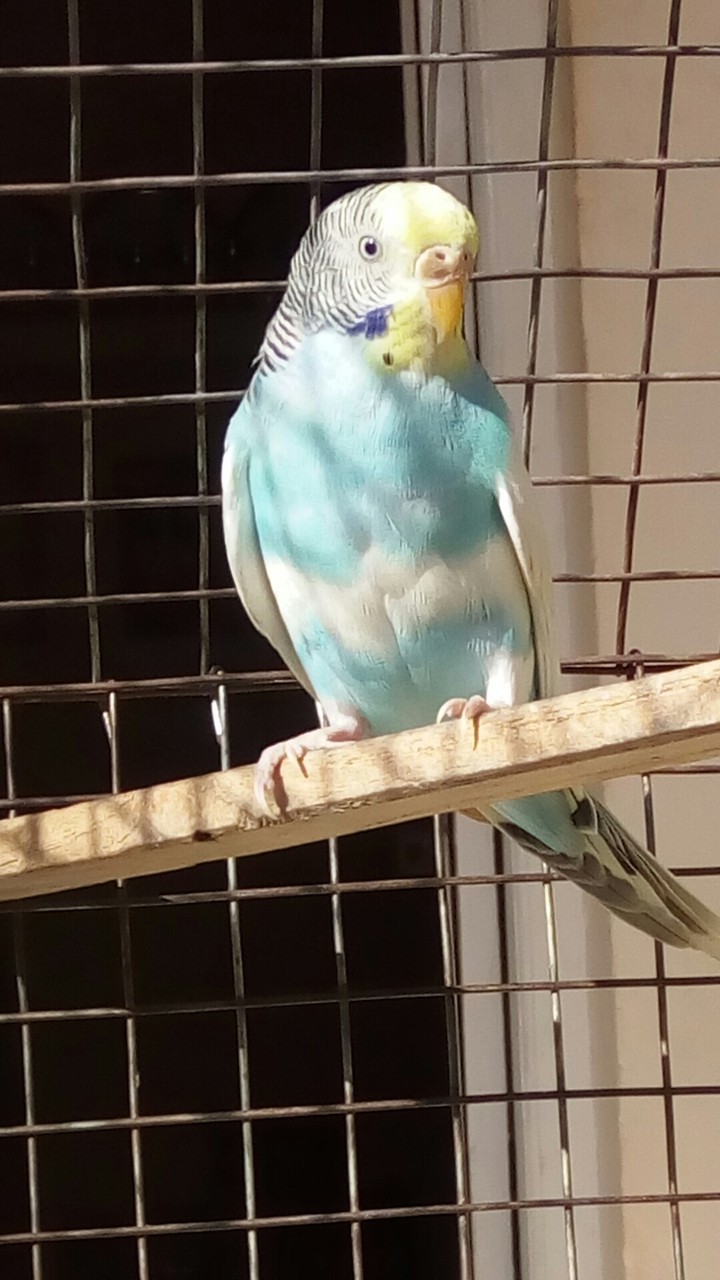 cute