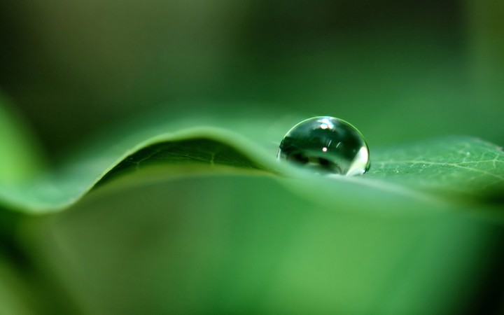 raindrop