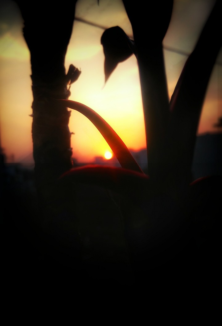 Evening