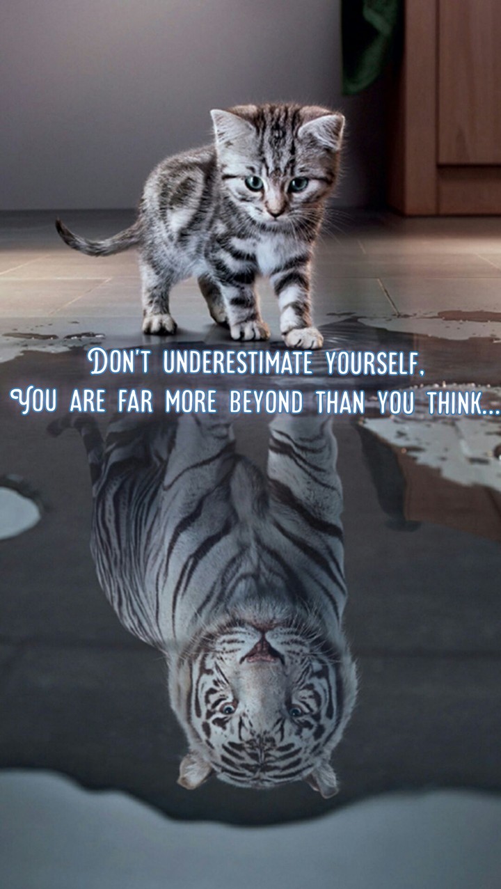 Quotes