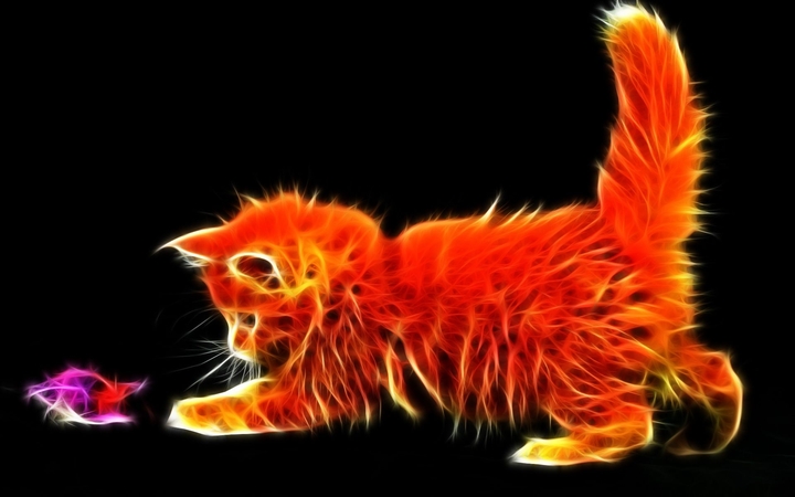 Kat