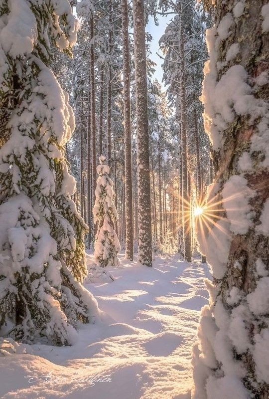 Winter beaming
