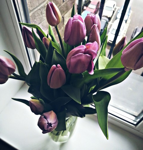 flowers
