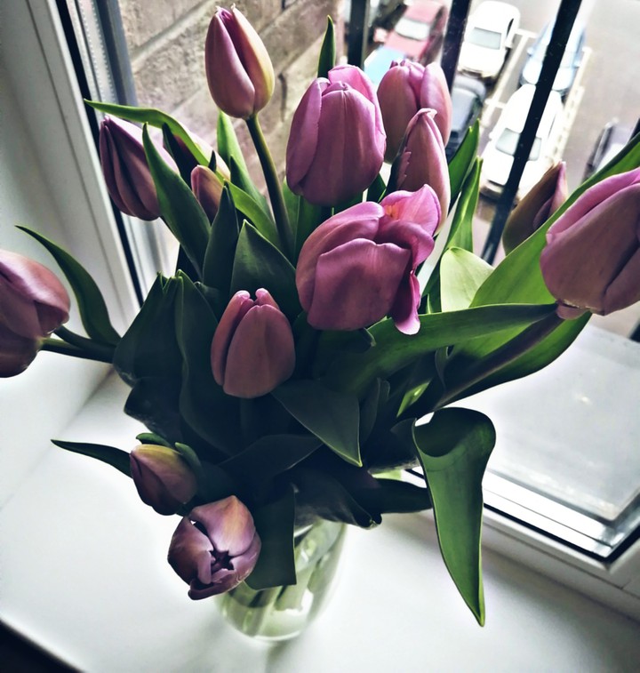 flowers