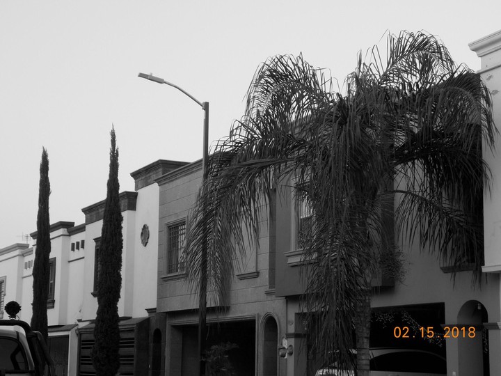 Black and White