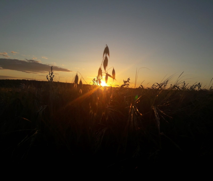 west sun