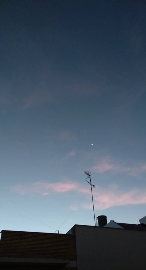Pink dawn