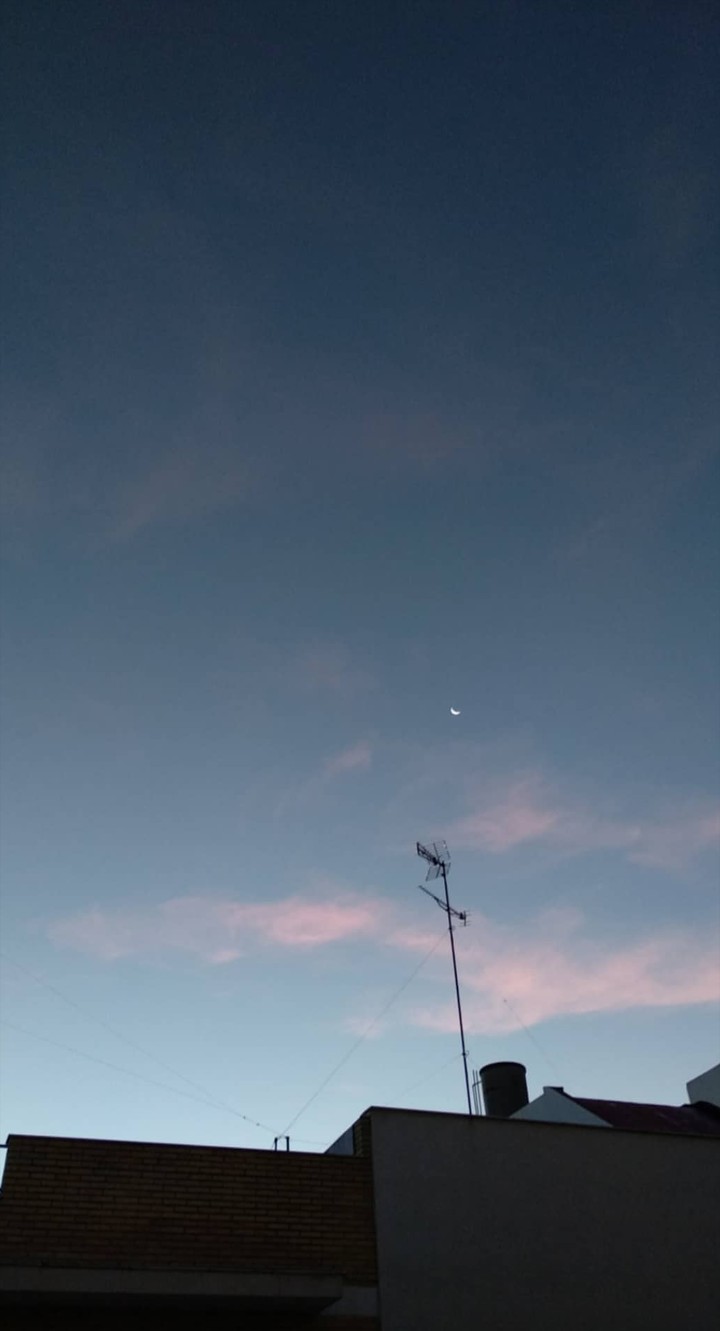 Pink dawn