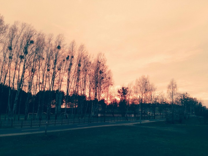 пейзаж