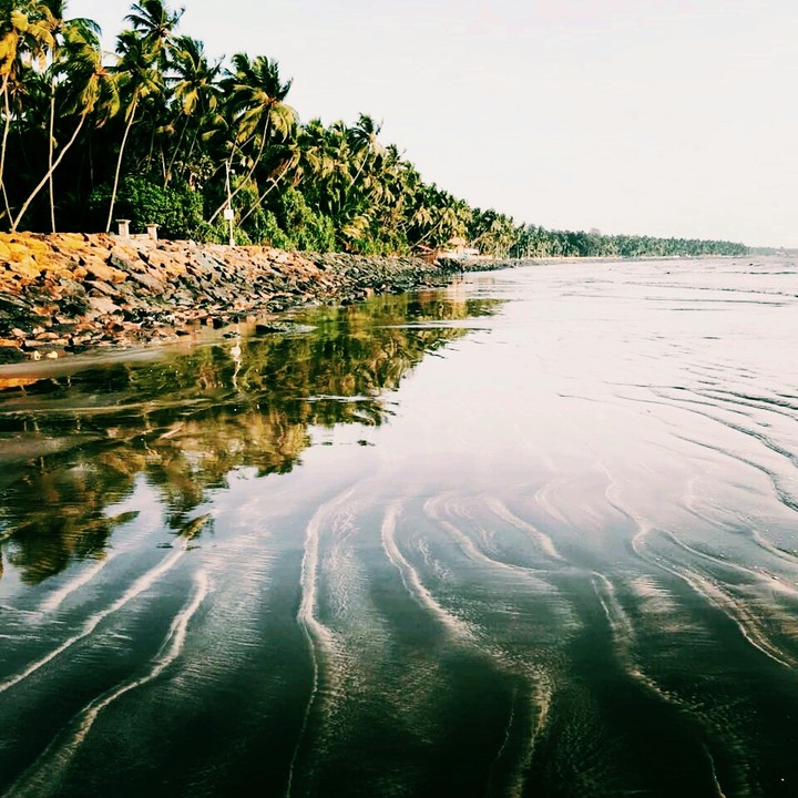Clear Reflection