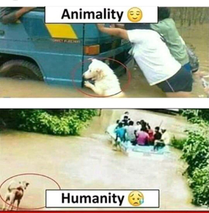 bad people