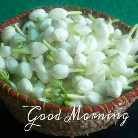 hiiii frnds