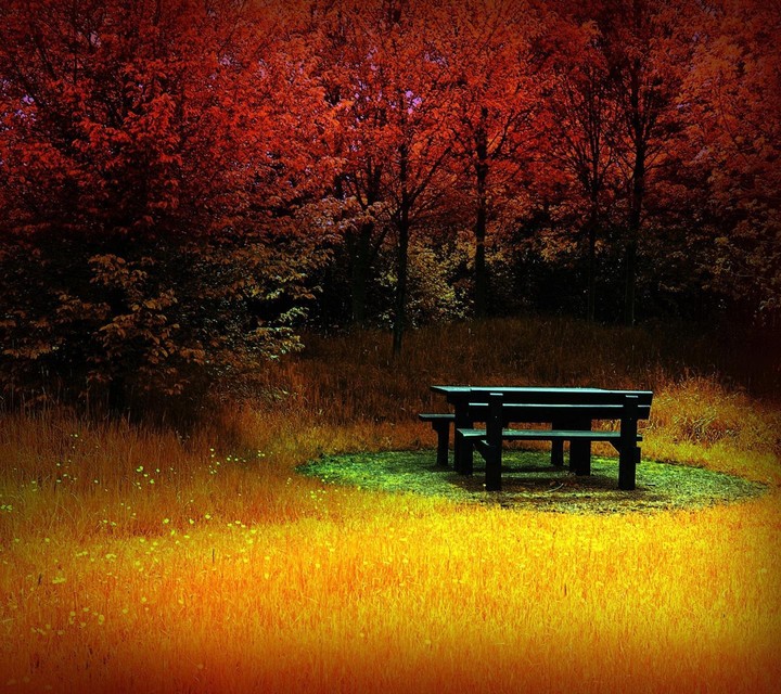 RED NATURE