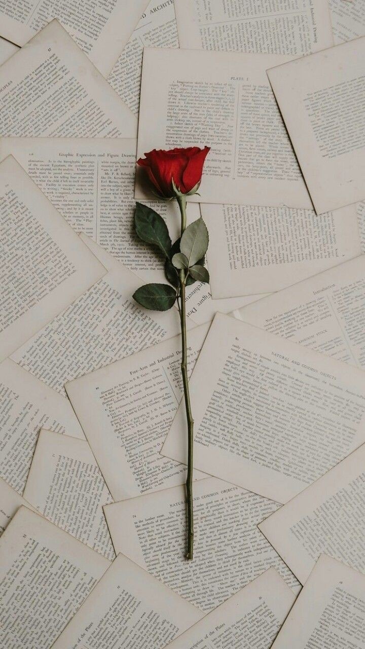 rose