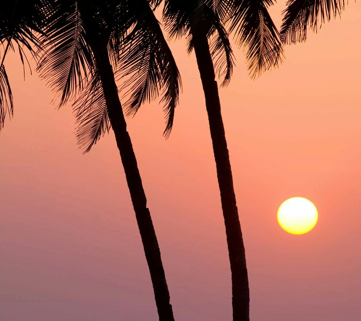 bali