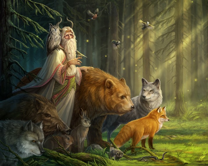Magic in wood