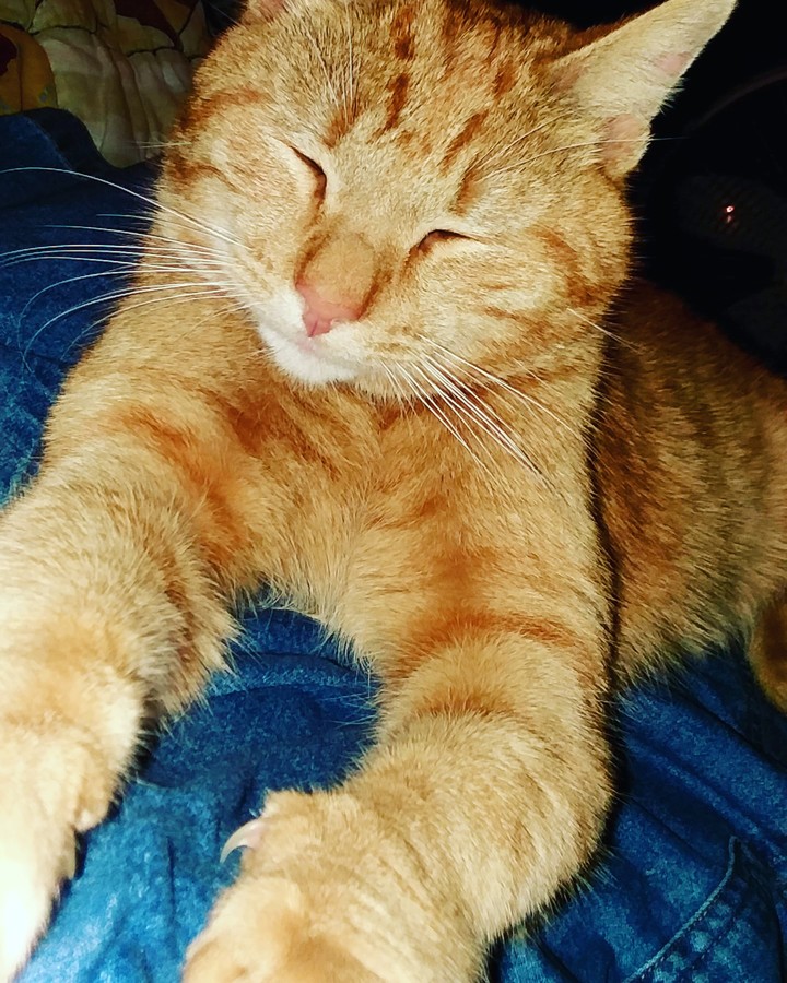 The cutest of them all
