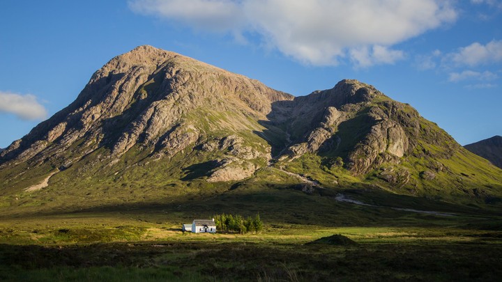 hình nền highland, grass