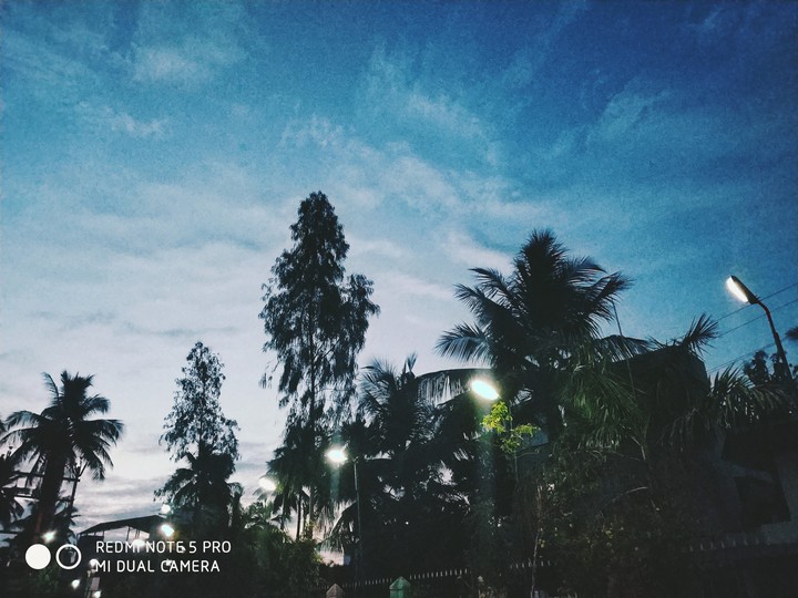 "After Sunsets"