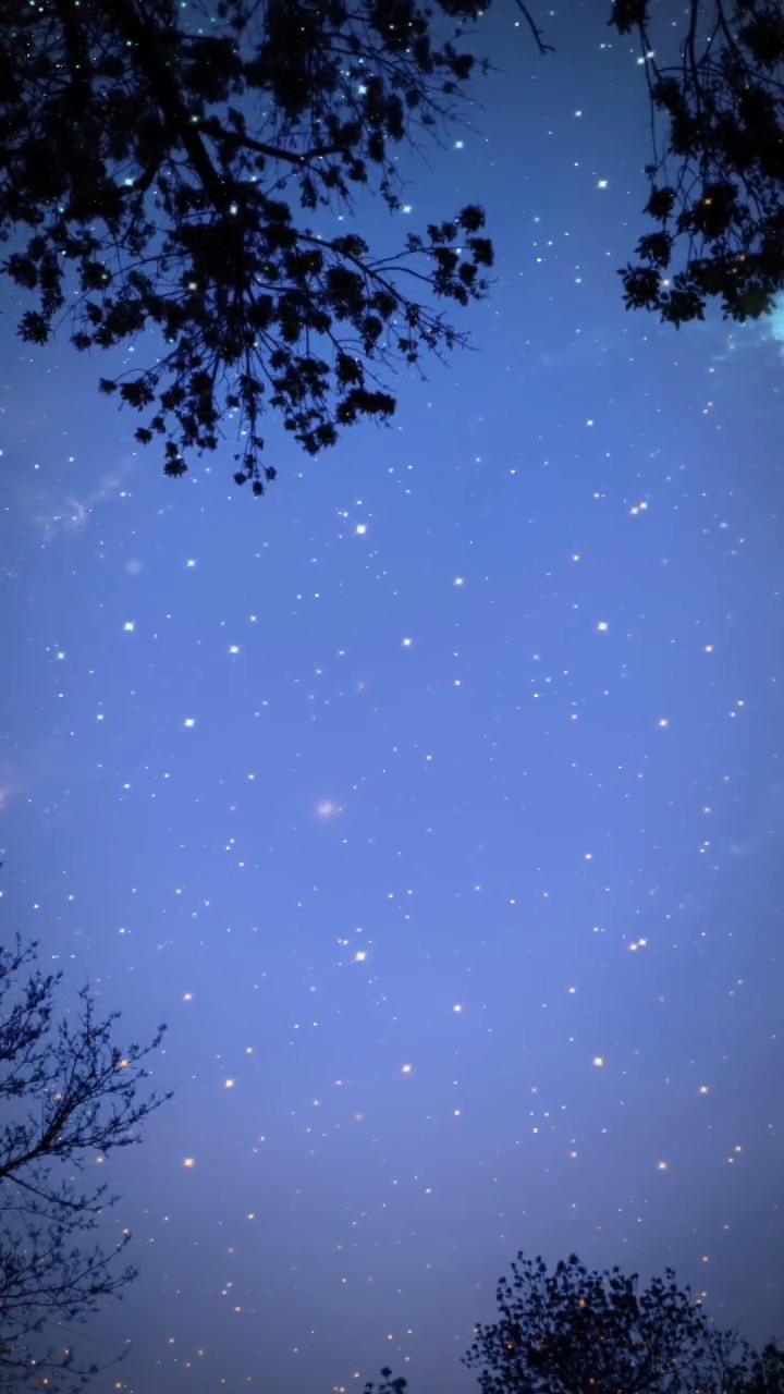 night sky