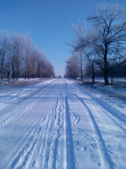 winter