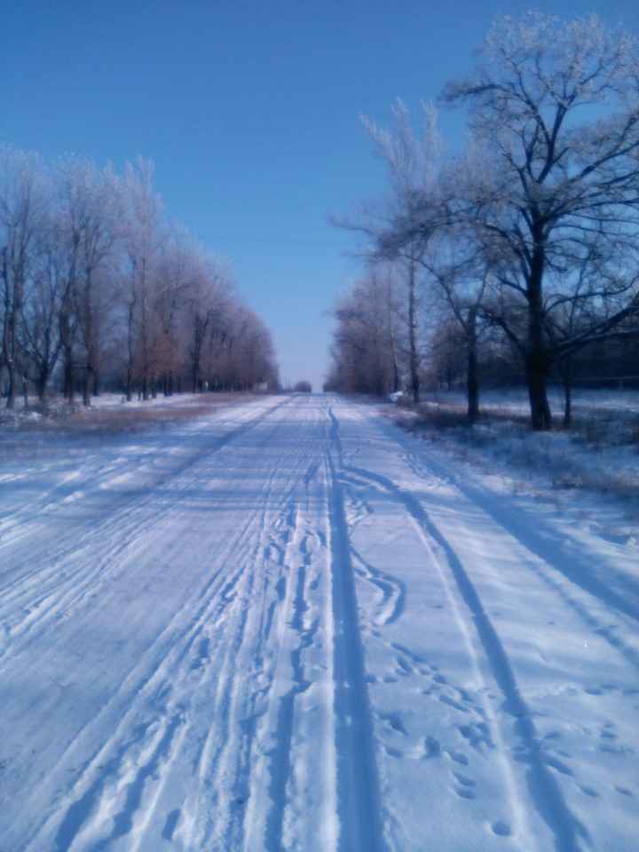 winter