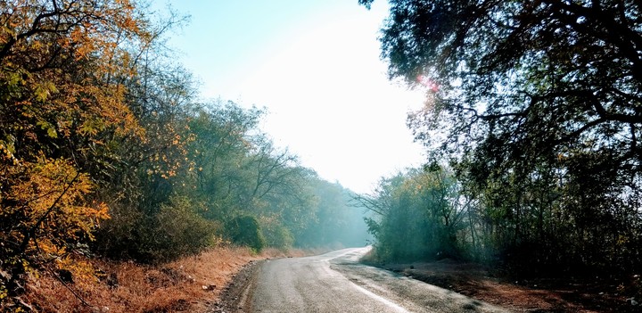 roads