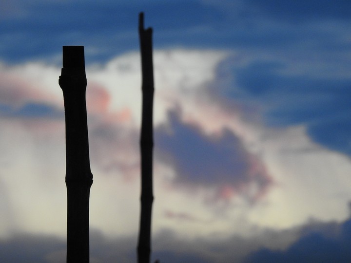 raw..p900