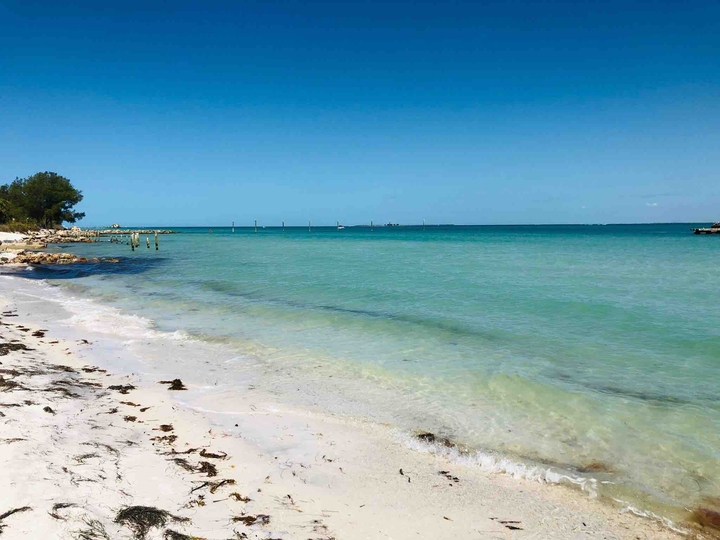 Spring Beach