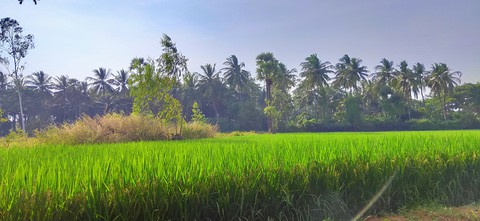 A roadtrip through villages