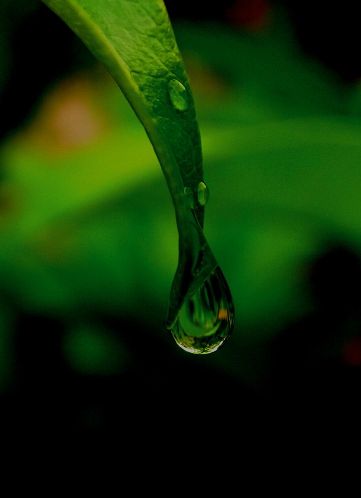drop