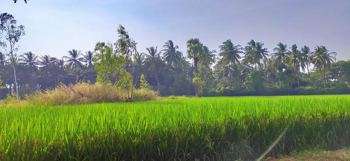A roadtrip through villages