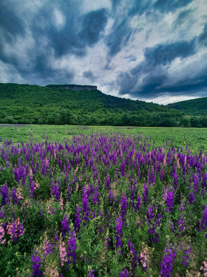 The Valley