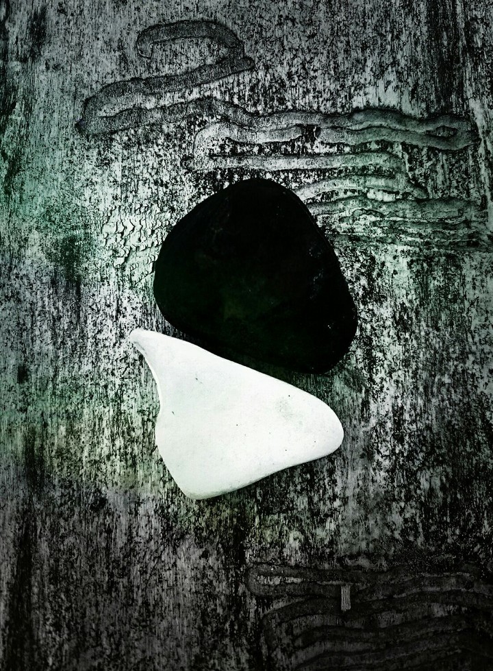 Black and white stone's