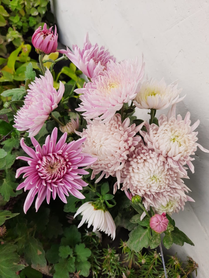 Bundle of Flowers at my Doors step