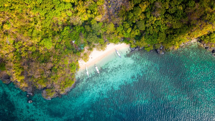 Tropical Beach