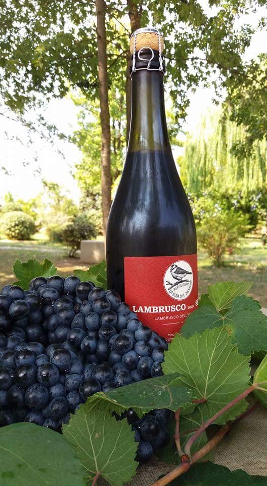 lambrusco
