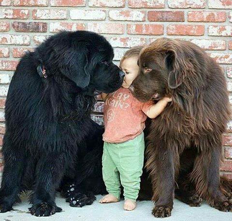 Sharing