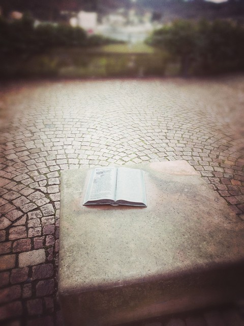 Buch