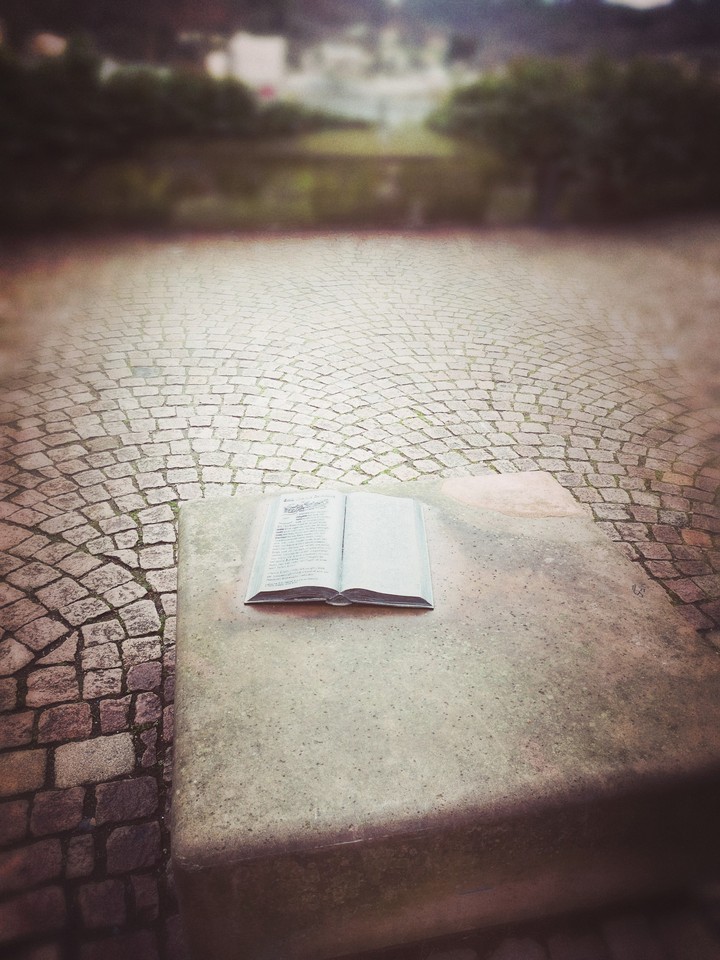 Buch
