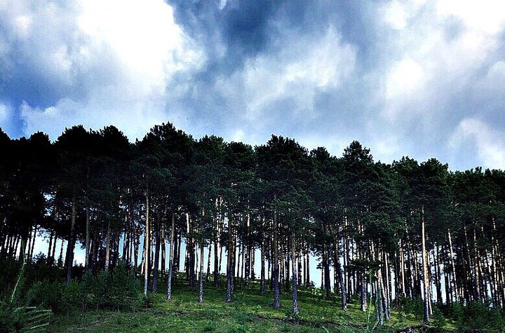 the hills