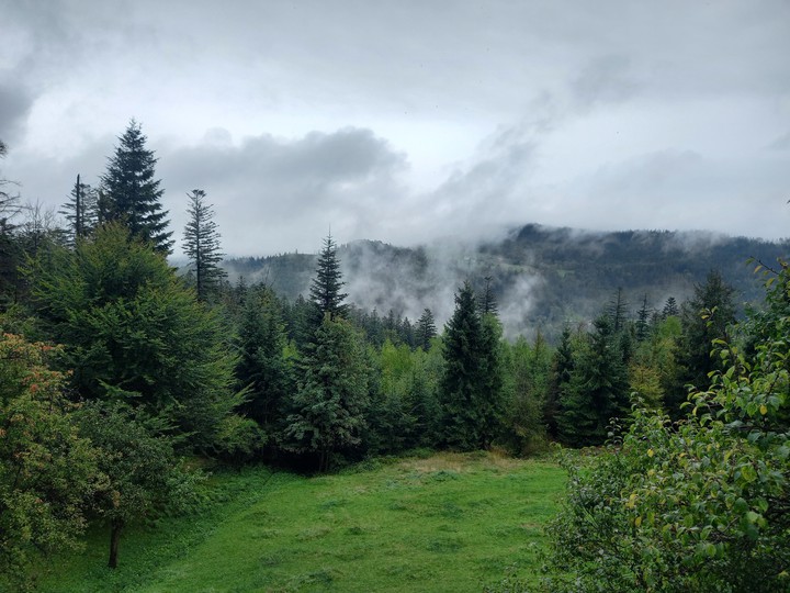Rainy day