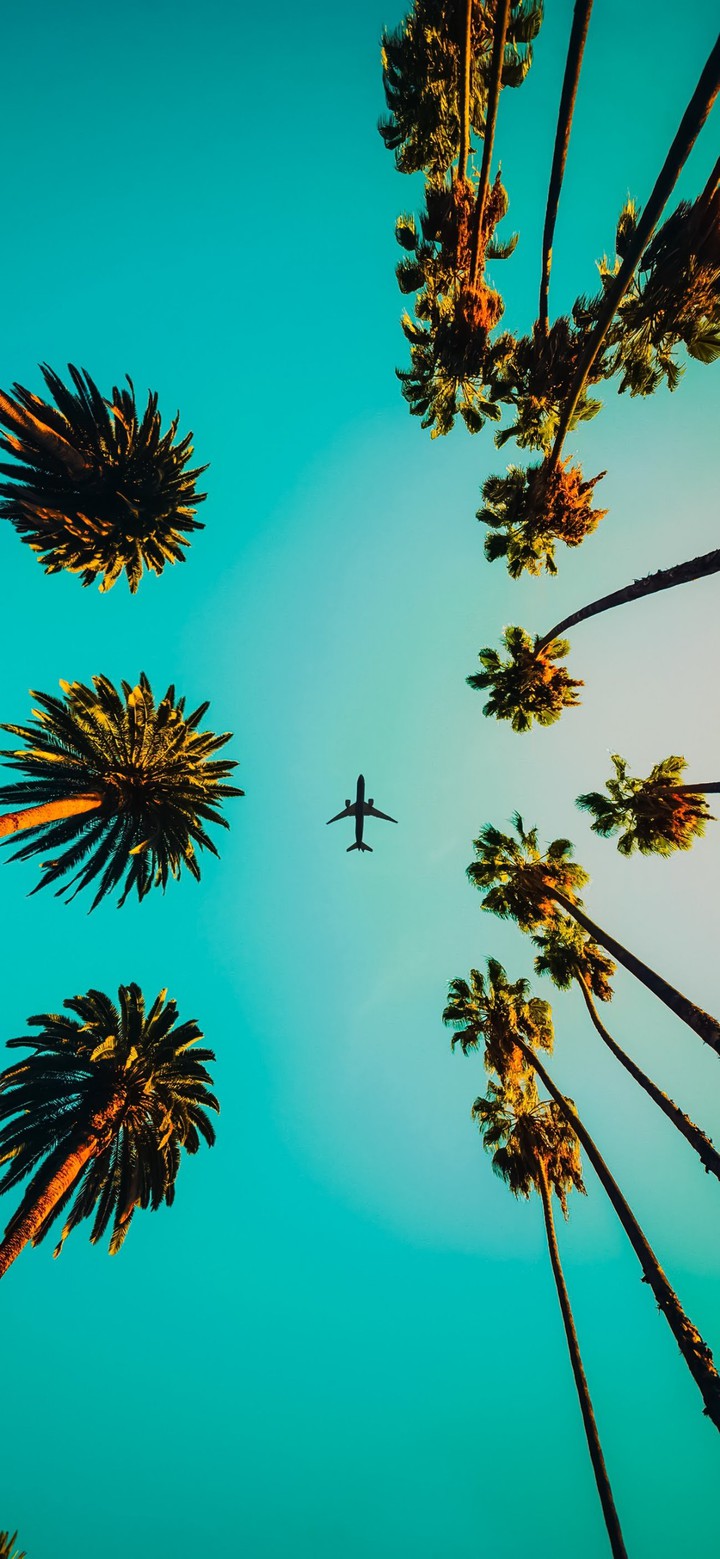 plane